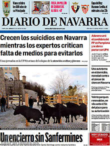 Periodico Diario de Navarra