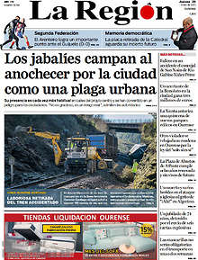 Periodico La Región