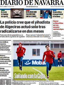 Periodico Diario de Navarra