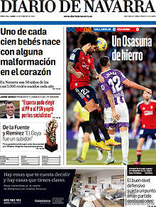 Periodico Diario de Navarra