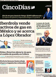 Periodico Cinco Días