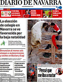 Periodico Diario de Navarra