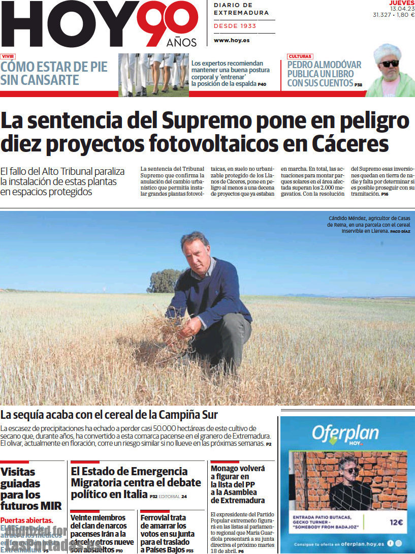 Hoy