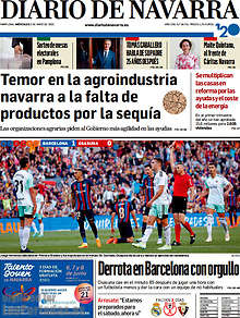 Periodico Diario de Navarra