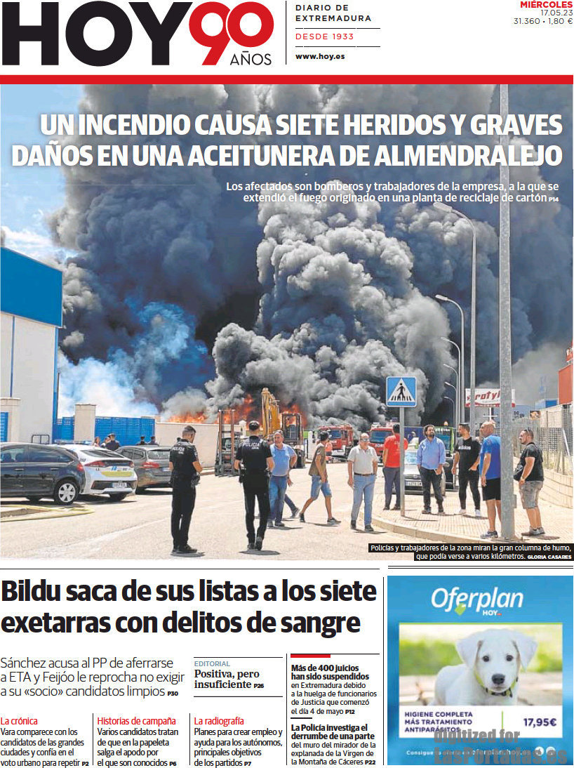 Hoy