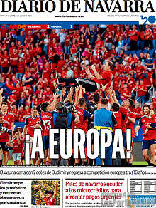 Periodico Diario de Navarra