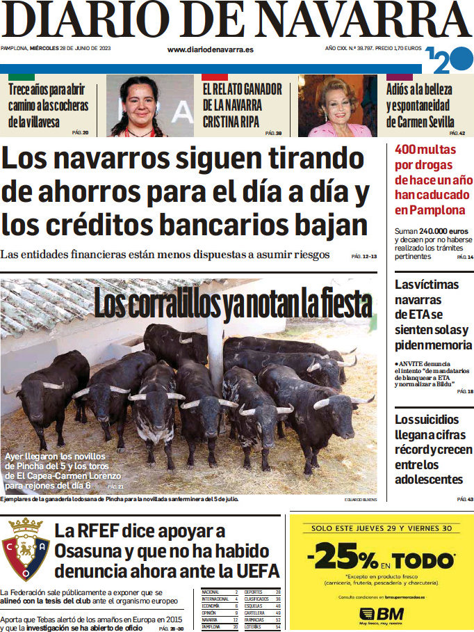 Diario de Navarra