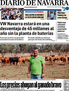 Periodico Diario de Navarra