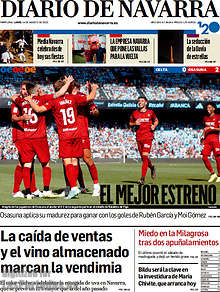 Periodico Diario de Navarra