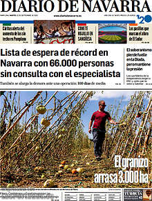 Periodico Diario de Navarra