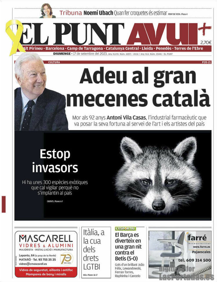 El Punt
