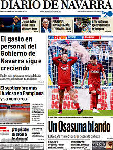 Periodico Diario de Navarra