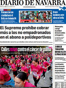Periodico Diario de Navarra