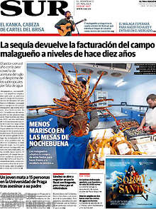 Periodico Sur
