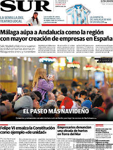 Periodico Sur