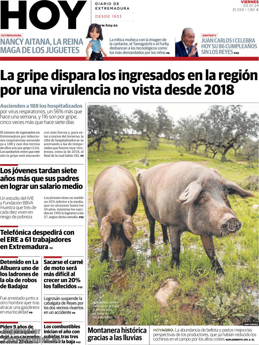 Hoy