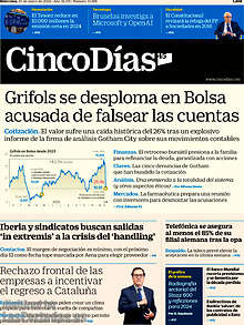 Periodico Cinco Días