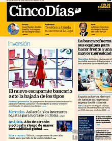 Periodico Cinco Días