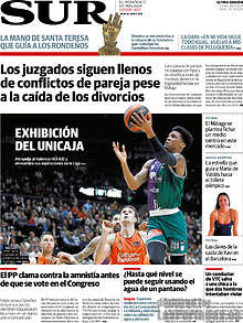 Periodico Sur