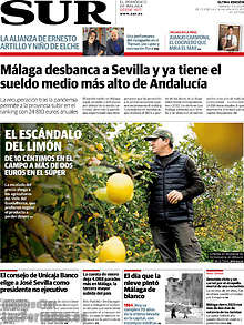 Periodico Sur