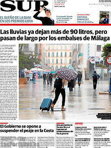 Periodico Sur