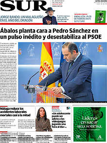 Periodico Sur