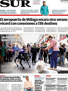 Periodico Sur