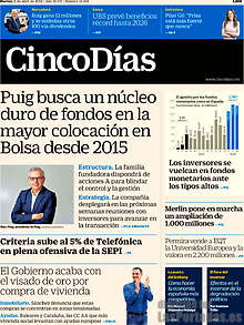 Periodico Cinco Días