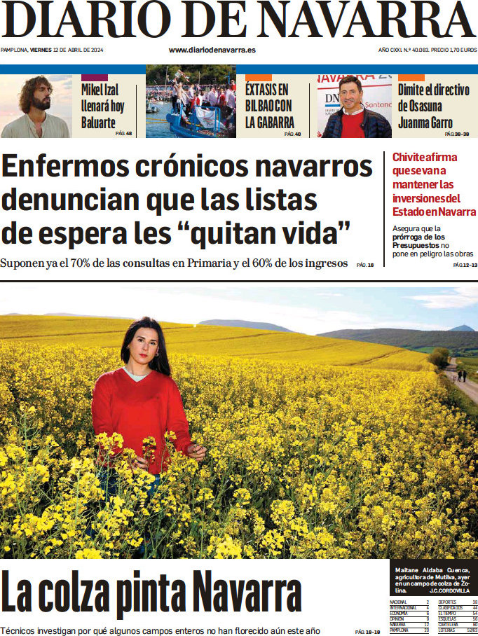 Diario de Navarra