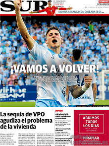 Periodico Sur