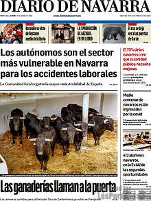 Periodico Diario de Navarra