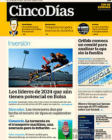 Periodico Cinco Días