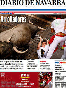 Periodico Diario de Navarra