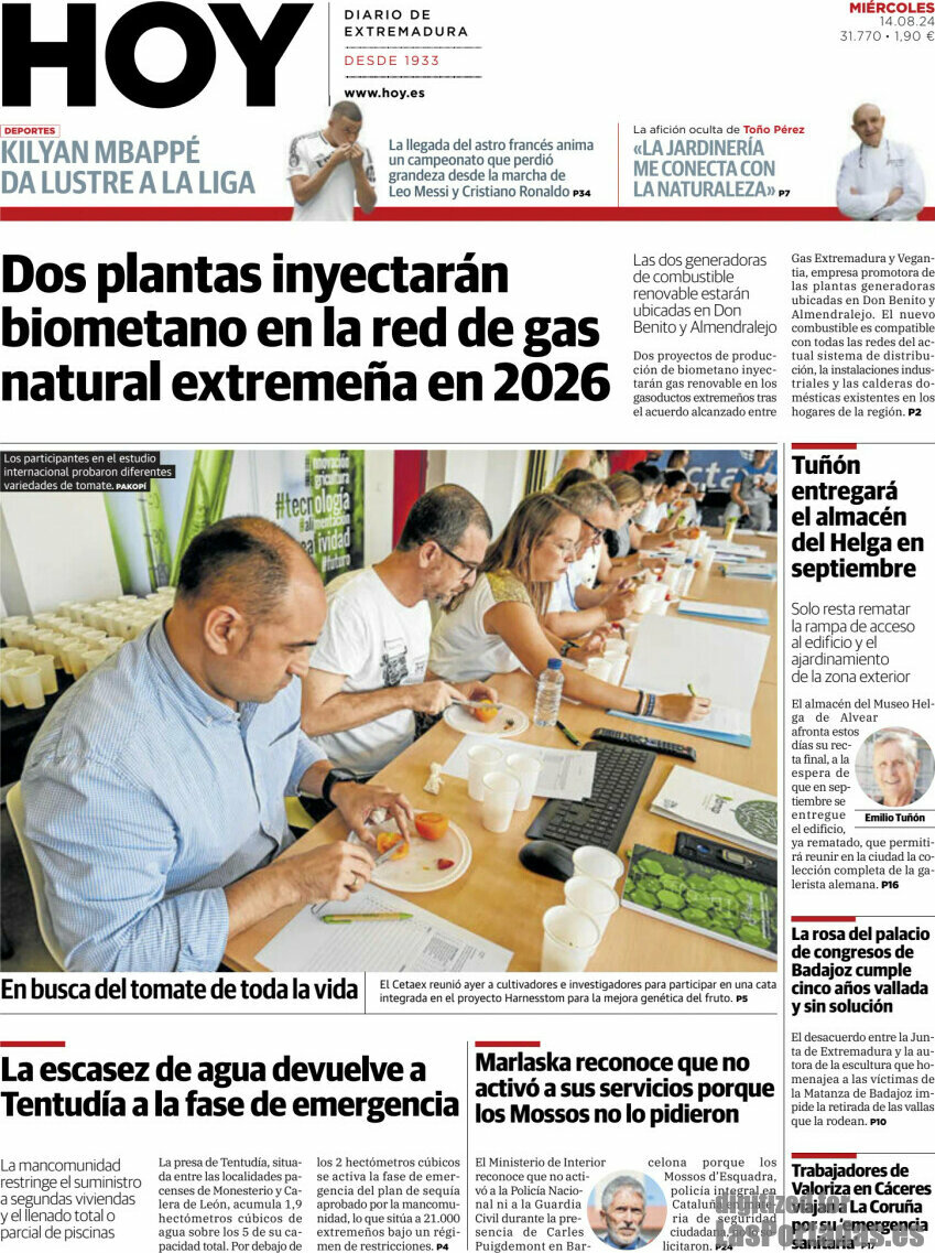 Hoy