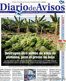 Periodico Diario de Avisos