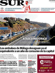 Periodico Sur