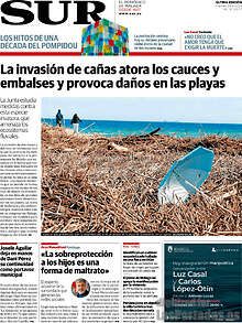Periodico Sur