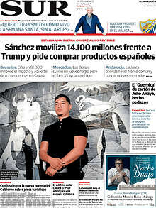 Periodico Sur