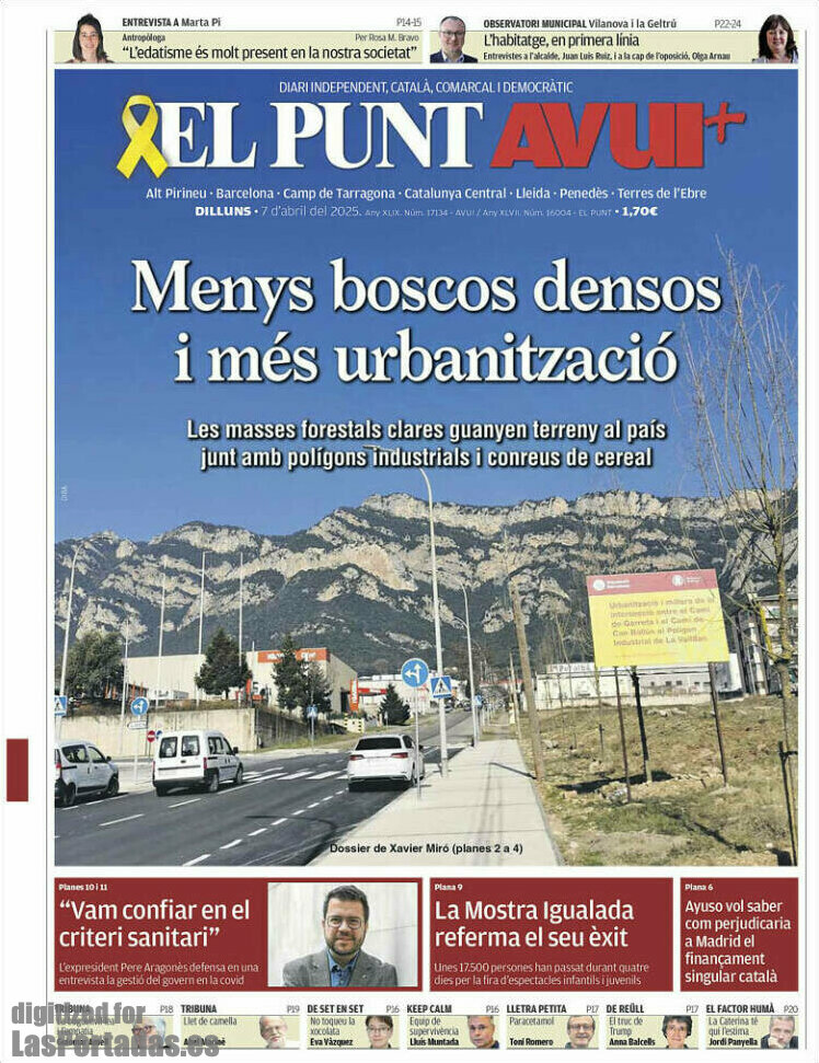 El Punt