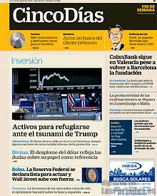 Periodico Cinco Días