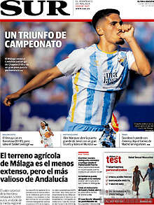 Periodico Sur