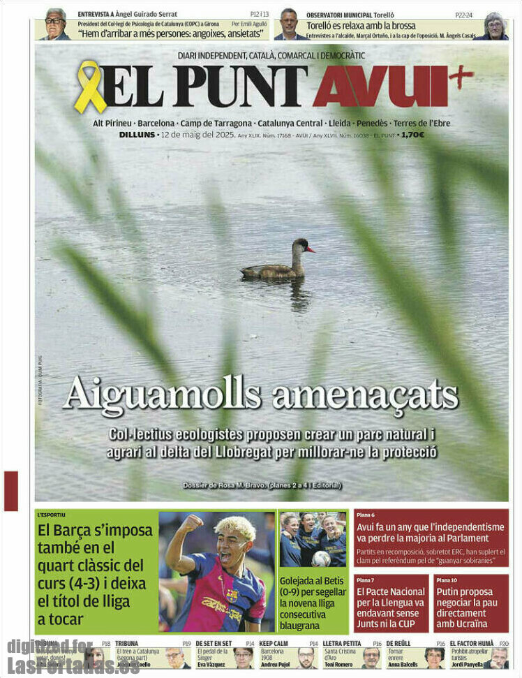 El Punt