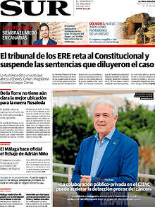 Periodico Sur