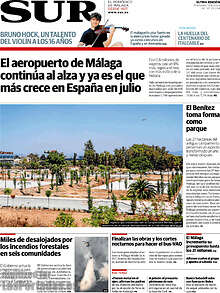 Periodico Sur