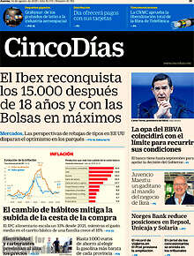 Periodico Cinco Días