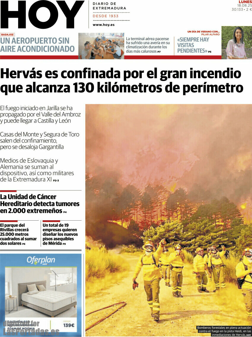 Hoy