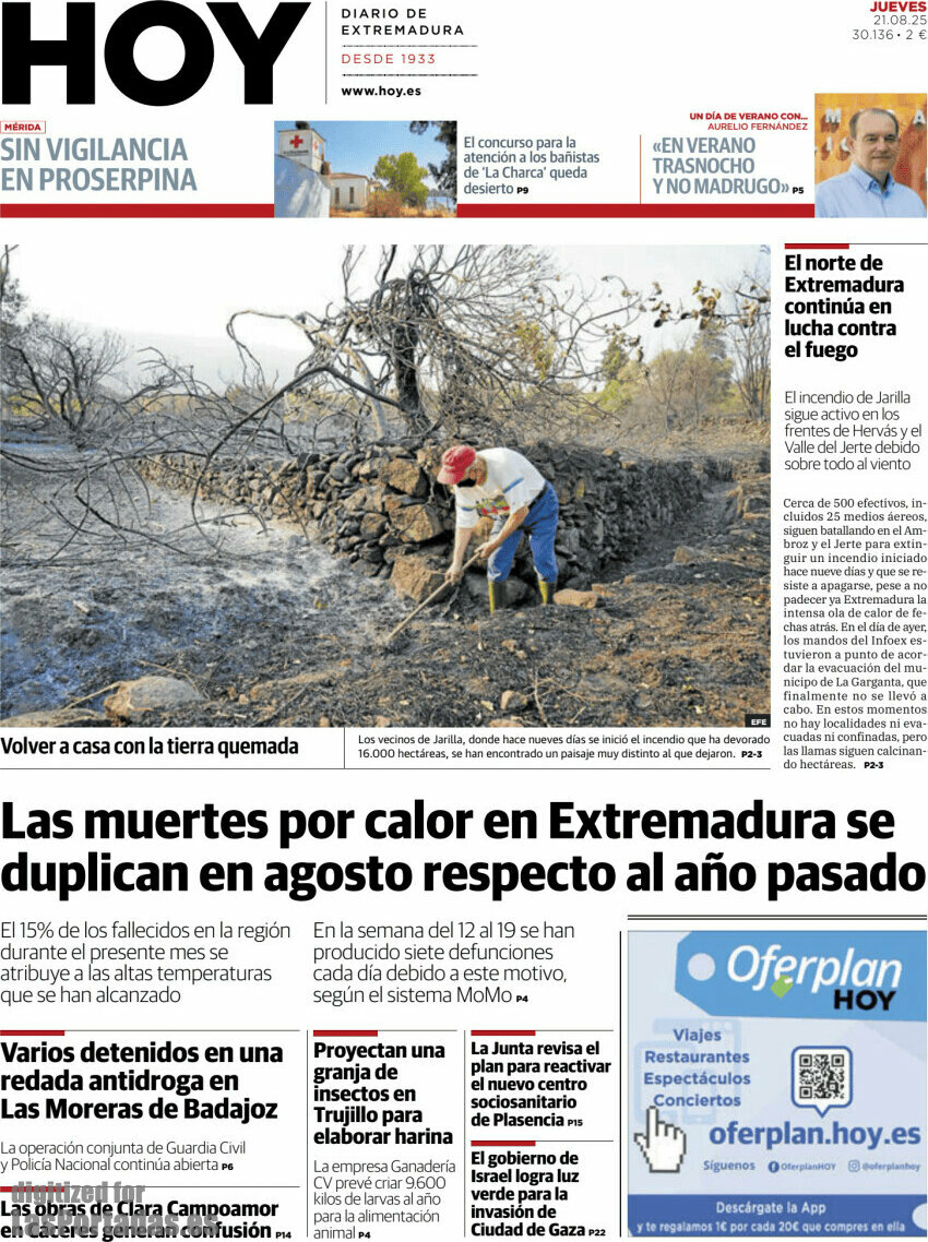 Hoy