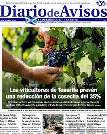 Periodico Diario de Avisos