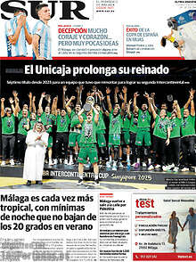 Periodico Sur