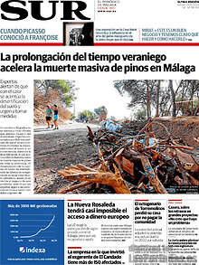 Periodico Sur